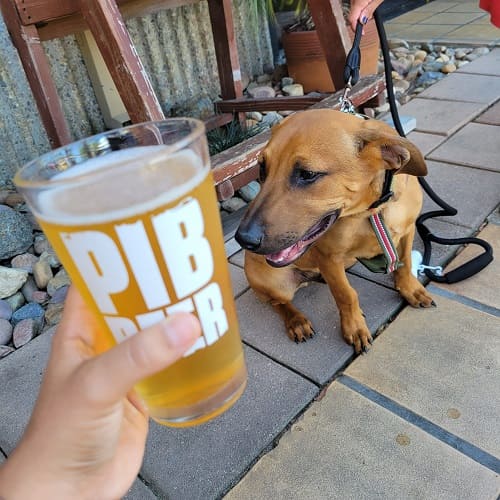 Beer and dog.